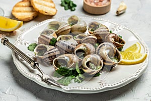 Delicious cooked sea escargo snails with herbs, butter, garlic on metal plate with forks. wine glass. gourmet food. Restaurant