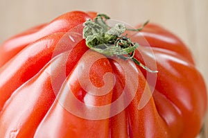 Delicious costoluto genovese tomato