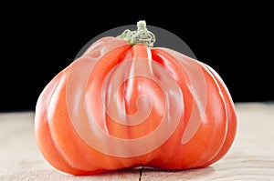 Delicious costoluto genovese tomato