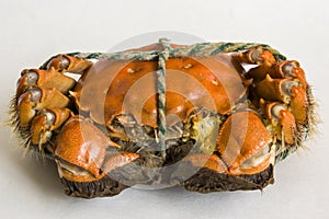 Delicious crab