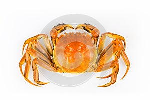 Delicious crab