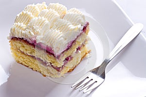 Delicious cream cake dessert