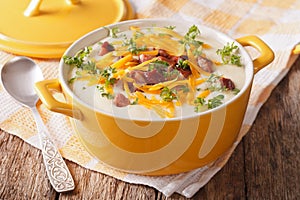 Delicious cream potato soup with bacon and cheddar cheese close-up. horizontal