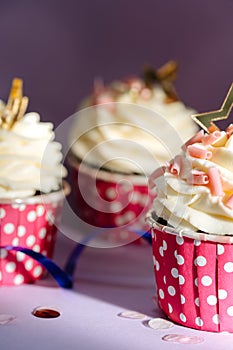 Delicious Creamy Cupcakes Celebrative Dessert