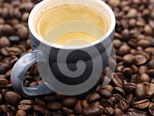 delicious cup of coffee aromatic tasty hot natural roasted grain photo