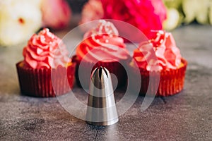 Delicious cupcakes. Cupcakes and confectionery attachments for cream