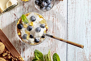 Delicious dessert of blueberries, yogurt and cereals muesli. Refreshing and healthy breakfast of yogurt, blueberries, dried