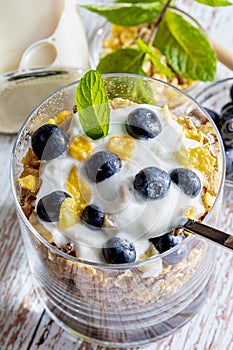 Delicious dessert of blueberries, yogurt and cereals muesli. Refreshing and healthy breakfast of yogurt, blueberries, dried