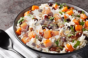 Delicious dietary rice with sweet potatoes, nuts, pecans, onions and dried cranberries close-up in a bowl. Horizontal