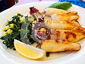 Delicious dish of Mediterranean sea food