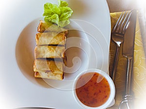 Delicious dish of vegetarian spring rolls with sauce