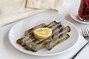 Delicious dolma sarma stuffed grape leaves. middle eastern cuisine