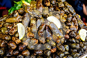 Delicious dolma (sarma) stuffed grape leaves rice