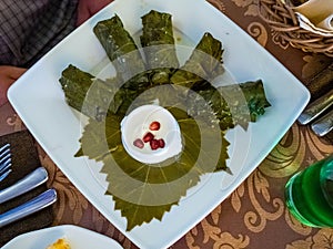 Delicious dolma sarma stuffed grape leaves rice, white yogurt sauce. Lebanese dolma sarma on plate. Lebanon turkish greek middle