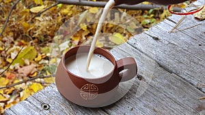 Delicious drink of chai latte in a cup