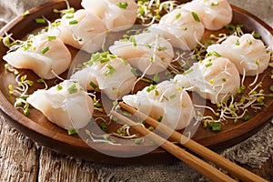 Delicious dumplings dim sum with shrimp served with sprouts close-up on a plate. horizontal