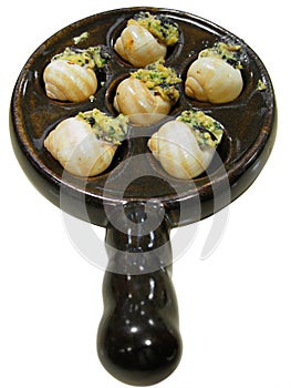 Delicious escargot isolated