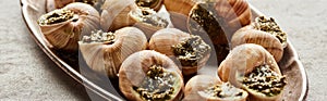 Delicious escargots on plate on stone background, panoramic shot.