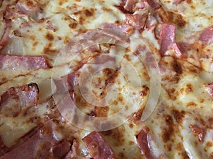 Ham cheese pizza texture background