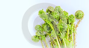 Delicious Fiddlehead Ferns