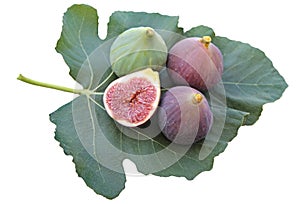Delicious figs on a fig leaf on white background