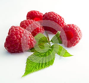 Delicious first class fresh raspberries