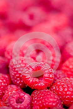 Delicious first class fresh raspberries background