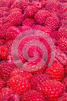 Delicious first class fresh raspberries background texture