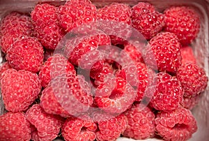 Delicious first class fresh raspberries covered with water drops. Summer wallpaper with raspberries