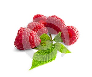Delicious first class fresh raspberries isolated on white