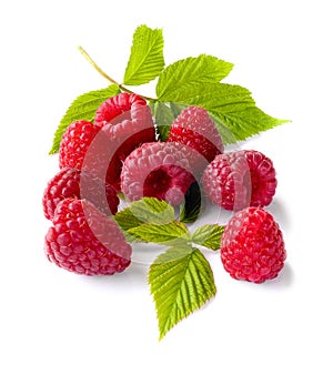 Delicious first class fresh raspberries isolated on white background