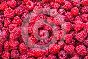 Delicious first class fresh raspberries