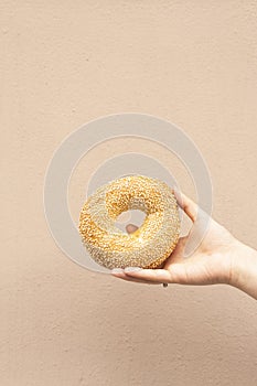 Delicious fresh bagel in girl`s hand