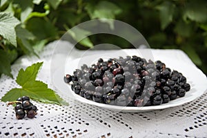 delicious and fresh black currant in a white Cup on a Lacy rustic tablecloth on a wooden background