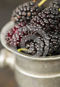 Delicious fresh blackberry, healthy eating, antioxidant concept