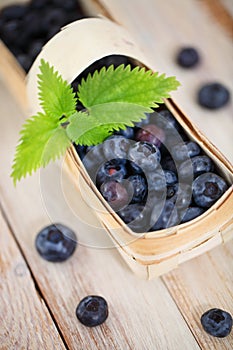Delicious fresh blueberry in the basket