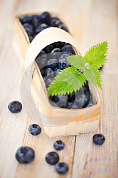 Delicious fresh blueberry in the basket