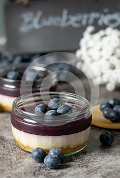 Delicious fresh blueberry cheesecake with fresh blueberries