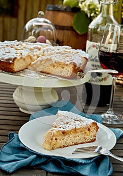 Delicious fresh cake for dessert at a picnic