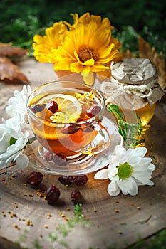 Delicious fresh honey and a Cup of healthy tea with lemon and rose hips on a wooden table. Selective focus.