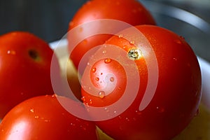 Delicious Fresh juicy Tomato for Cooking and Salad