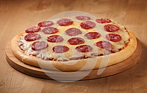 Delicious fresh pizza with salami