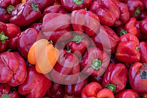 Delicious and fresh red Capsicums or red pepper vegetables on a fruit market