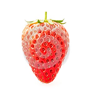 Delicious fresh red Strawberry fruits