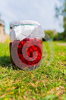 Delicious fresh ripe raspberries in glass jar on a grass background. Nature