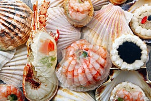 Delicious fresh specialties of shellfish