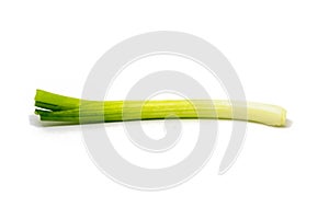 Delicious and fresh spring onion for eat and cooking from nature