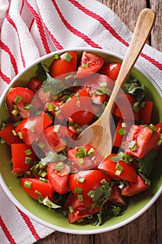 Delicious fresh tomato salad with onion in a bowl close-up. vert