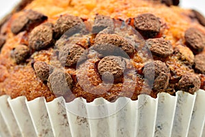 Detail of fluffy chocolate chip muffins photo