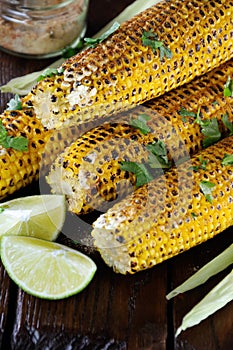 Grilled corn cobs photo